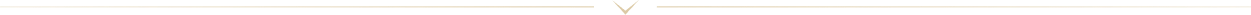 footer-divider
